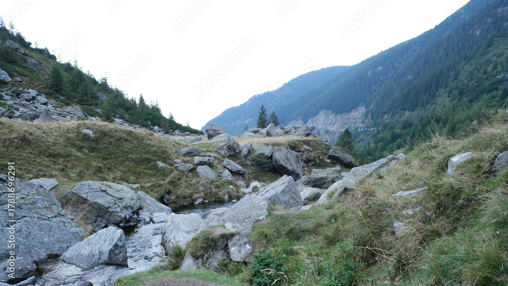 Fototapeta premium Beautiful landscape, mountain creek stream