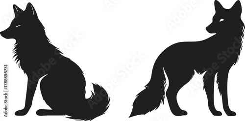 wildlife, keywords:, category:, sitting, features, animal, fur, creature, showcasing, design, extended., description:, with, canine, vulpine, wild, nature, mammal, against, facing, observant., silhoue