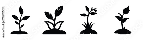 Black silhouette plants vector illustration of various stages of plant growth in garden vector art