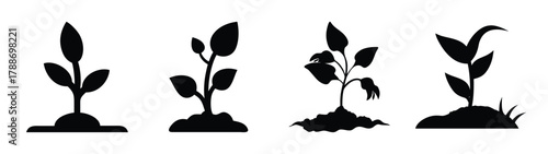 Explore plant growth stages silhouette vector illustration for gardening and agriculture projects