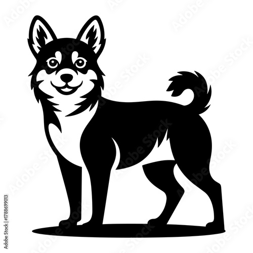Alaskan Klee Kai Dog