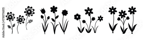Black and white vector illustration of floral design elements flowers plants and leaves sketch style