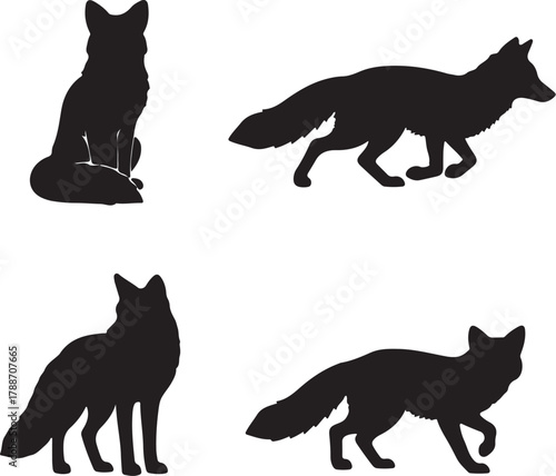 Four black silhouette poses of a fox with bushy tail animal wildlife on transparent background