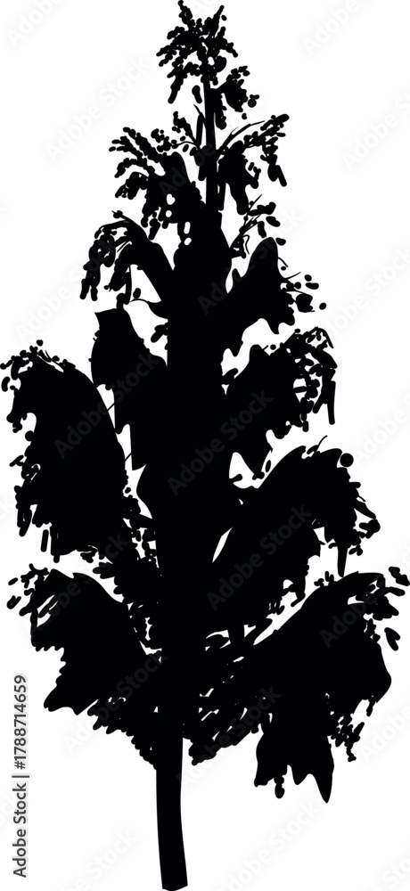 Fototapeta premium Black silhouette of deciduous tree with big crown isolated on white background