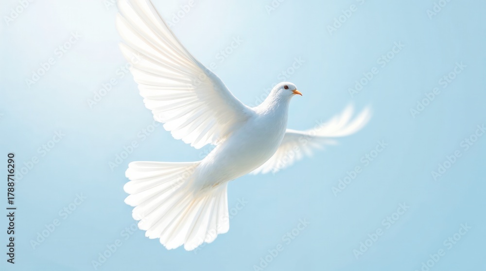 Fototapeta premium A single white dove flying with outstretched wings in a bright blue sky. Spiritual symbol of peace, freedom, and hope. Background with copy space