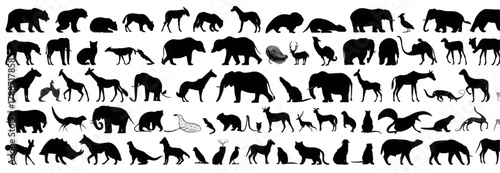 Mega set of various wild animal silhouettes isolated on white.