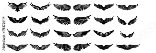 Monochrome Vector Set of Stylized Angel Wings.