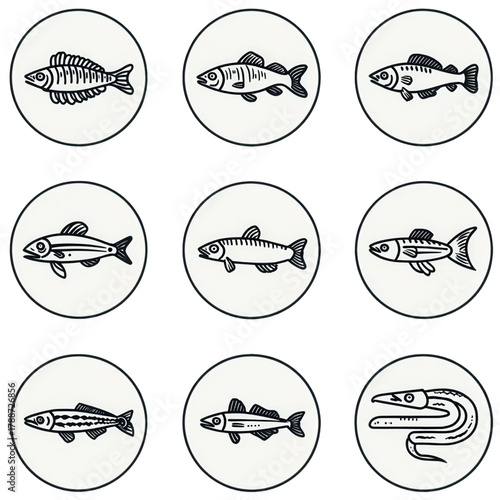 Collection of nine different fish species icons hand drawn.