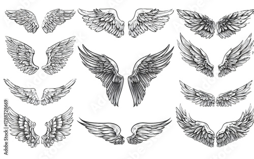 Collection of detailed black and white feathered angel wings.
