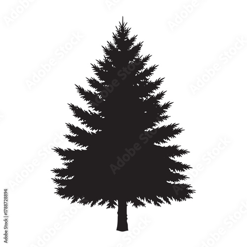Black silhouette of a pine tree with detailed branches and needles on a white background vector