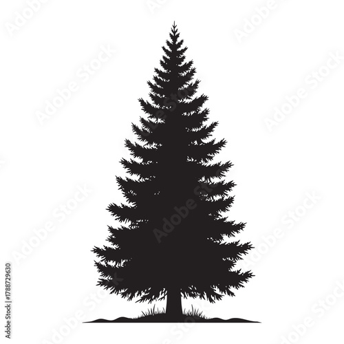 Black silhouette of a tall evergreen pine tree with detailed branches and grass at the base on a white background
