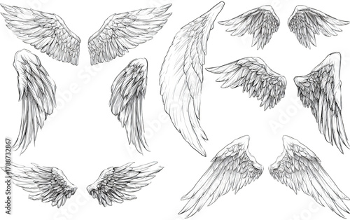 A beautiful collection of hand drawn angel wings sketches.