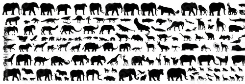 Mega set of various wild animal silhouettes on a white background.