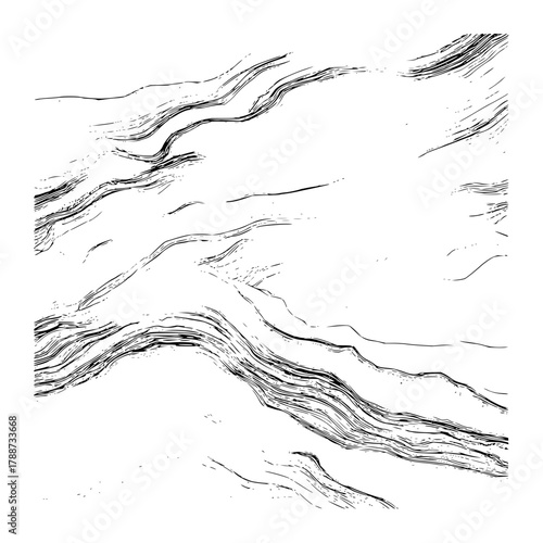 Abstract black and white illustration featuring layered wavy lines resembling topographical map details and textures