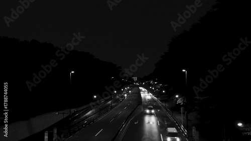 公園の木々に囲まれた静かな夜の道路。
