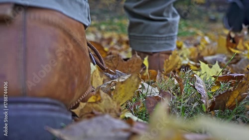 Walking through a backyard during late October highlights the beauty of autumn leaves. Vibrant colors beneath the feet create a perfect seasonal atmosphere.