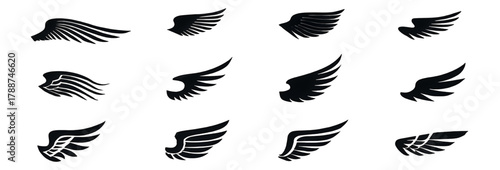 Set of twelve different black wing silhouettes isolated on white.