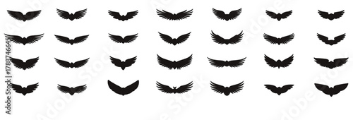 Set of black bat silhouettes in various flight positions.