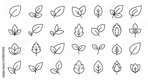 Minimalist Black and White Forest Animals and Nature Elements Set