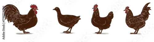 Set of brown chickens and roosters vector illustration.