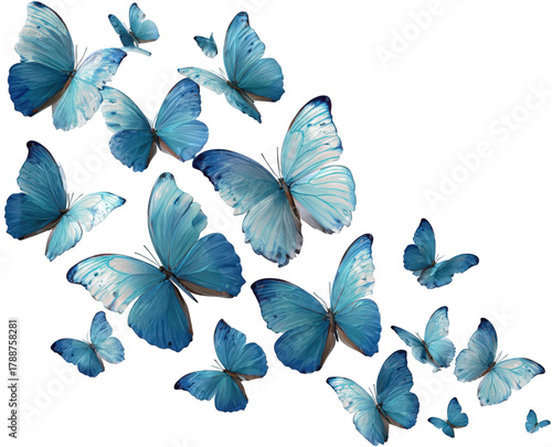 A beautiful swarm of blue butterflies in flight on a white background.