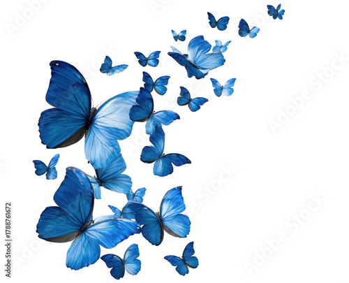 A beautiful swarm of blue butterflies flying in formation on a white background.