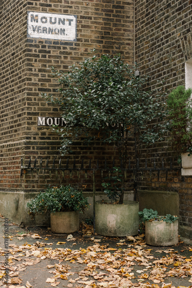Fototapeta premium Mount Vernon street sign mounted on an old brick wall surrounded by plants and fallen autumn leaves in a historic London neighborhood.