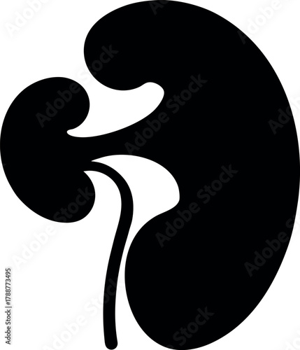 Black Silhouette of Kidney Anatomy with Ureter