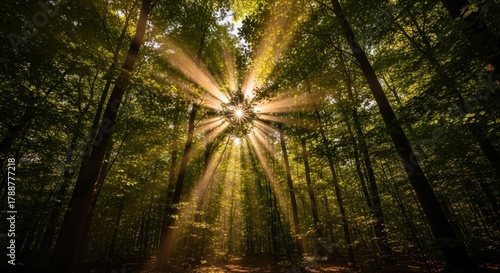 A sunburst filters through a dense forest canopy, illuminating vibrant green leaves while casting long rays of light that create a warm, ethereal atmosphere in a tranquil woodland setting