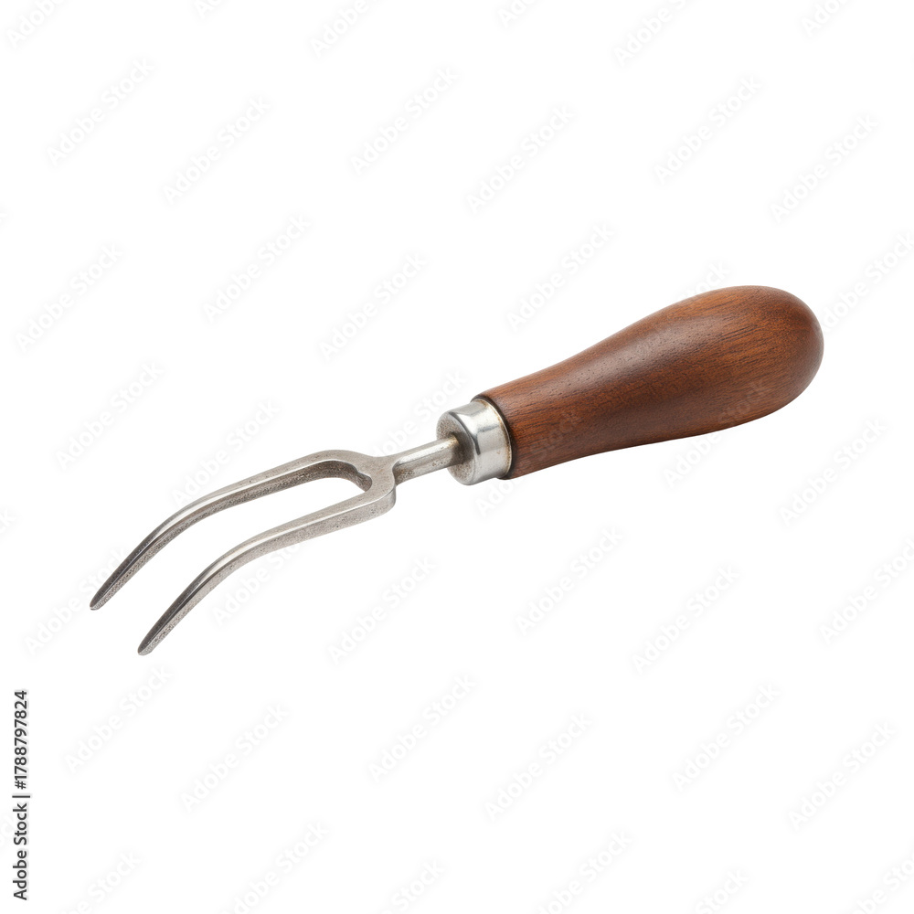 Fototapeta premium Close-Up of Vintage Meat Carving Fork, Culinary Elegance and Precision