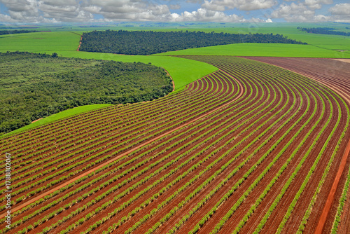 Vista aérea de áreas cultivadas