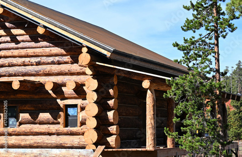 Принти на полотні New Log Cabin