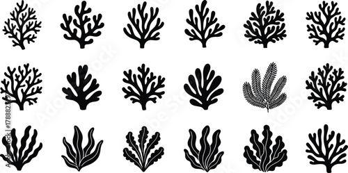 Coral and seaweed silhouette set, marine plant vector collection, ocean nature, underwater flora, aquatic illustration design