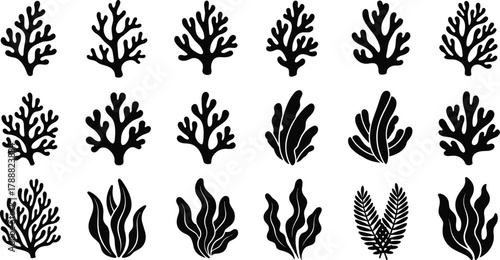 Seaweed and coral silhouette set, marine plant vector collection, underwater nature, ocean botanical, aquatic illustration designSeaweed and coral silhouette set, marine plant vector collection, 