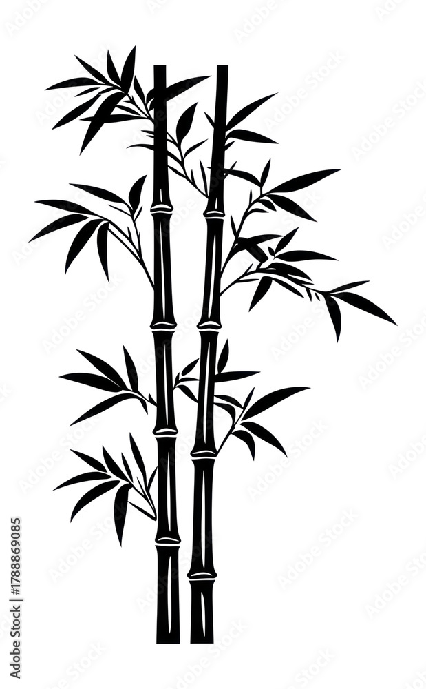 Fototapeta premium PNG Simple bamboo with leaves linear illustration design black.