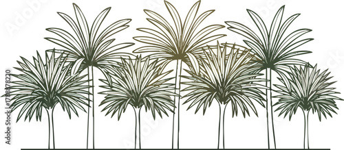 Minimalist Line Art Illustration of a Row of Palm Trees.