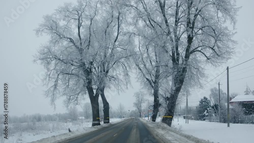 A beautiful and serene winter landscape featuring a snowy road, tall majestic trees, and a clear speed limit sign