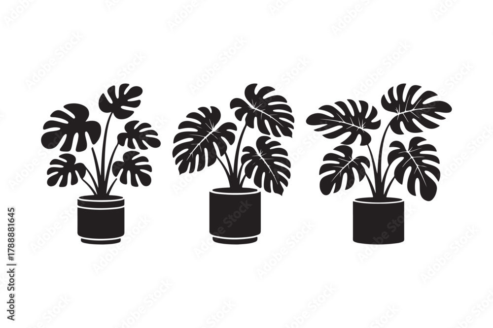 Fototapeta premium Three potted monstera plants in a minimalist silhouette style