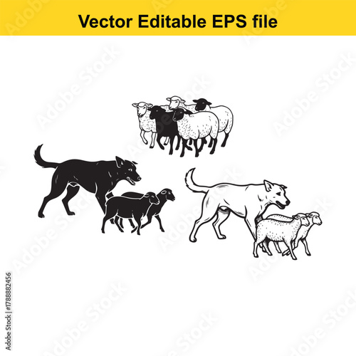 Herd of sheep and two dogs, one black and one white