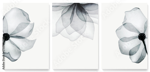 A set of postcards with transparent black and white flowers in a watercolor style. A botanical floral background set for banners, covers, posters, prints, and interior design.