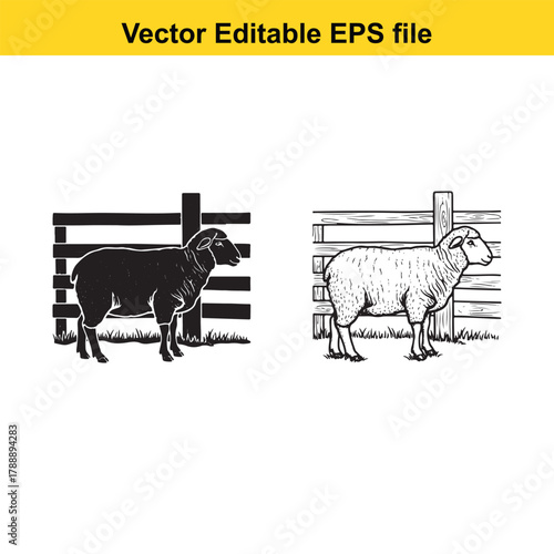 Black and white illustration of a sheep standing next to a fence, with a silhouette and line drawing version side by side