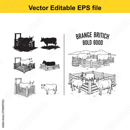 Collection of cattle illustrations in various poses and enclosures, including a bull and cows, with text brange britich bold bood