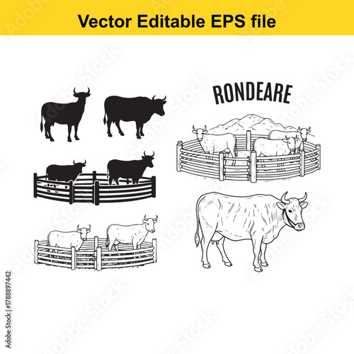 Set of cattle illustrations in different poses and enclosures, featuring bulls and cows, with text rondeare
