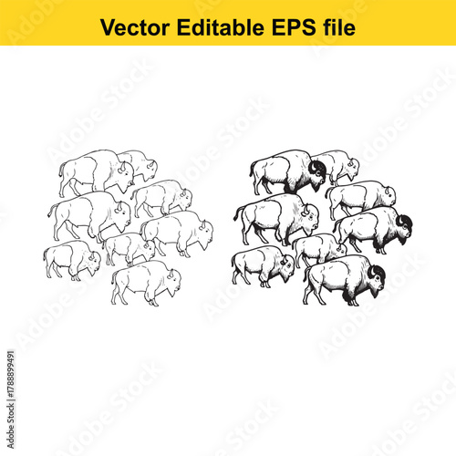 Herd of bison grazing in a field, vector illustration