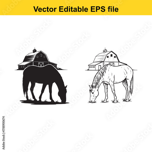 Two horses grazing near barns, one in silhouette and the other detailed, vector illustration