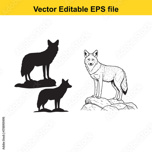 Vector editable eps file of a coyote standing on rocks