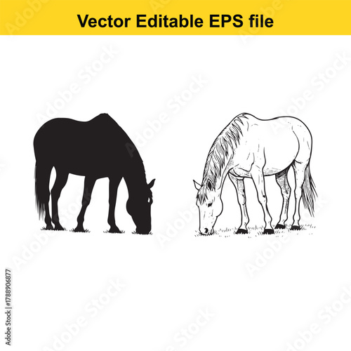 Two horse illustrations, one black silhouette and one line drawing, grazing in a field
