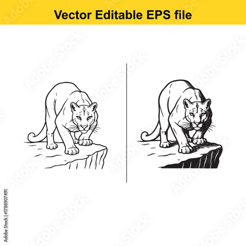 Two black and white cougar or panther illustrations on a rock ledge, one facing forward and the other slightly angled, vector art