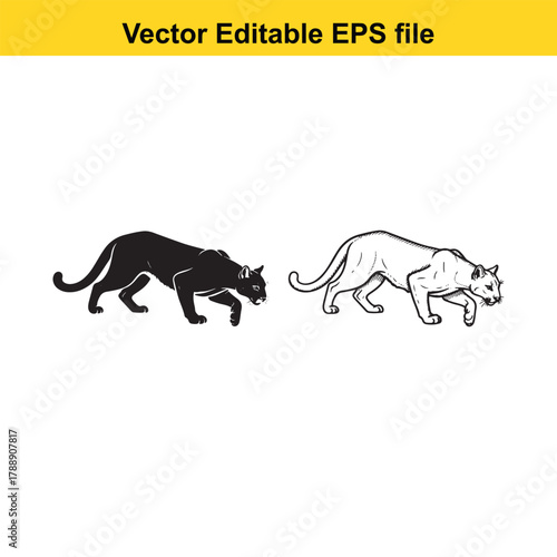 Silhouette and outline of a cougar or panther walking, one black solid shape and the other a detailed line drawing, vector art