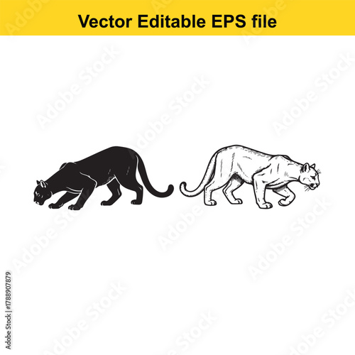 Side by side comparison of a black silhouette and a line drawing of a cougar or panther in a stalking pose, vector art